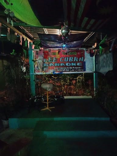 Lee cobra karaoke